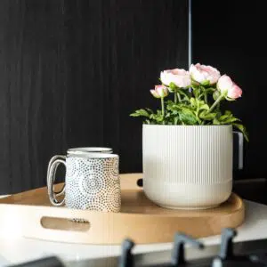 Entertain from your kitchen