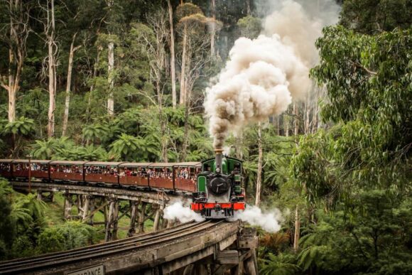 Puffing Billy Melbourne Activities