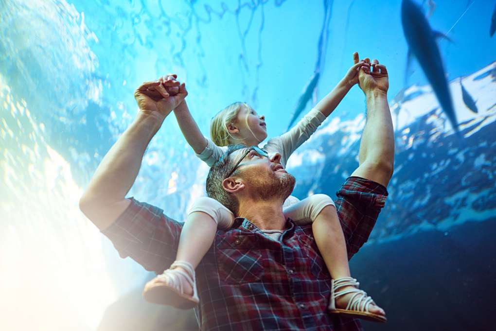 Things to Do in Melbourne With Kids - Melbourne Private Apartments